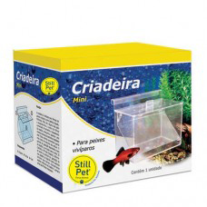 0016 - CRIADEIRA